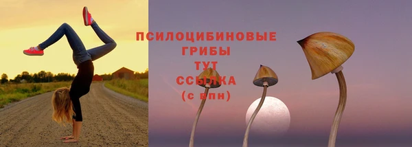 твердый Волоколамск