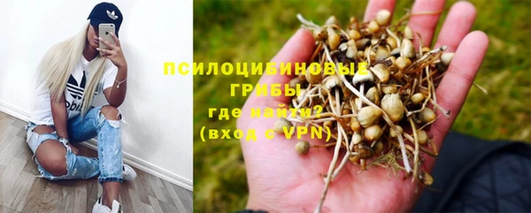 2c-b Вяземский